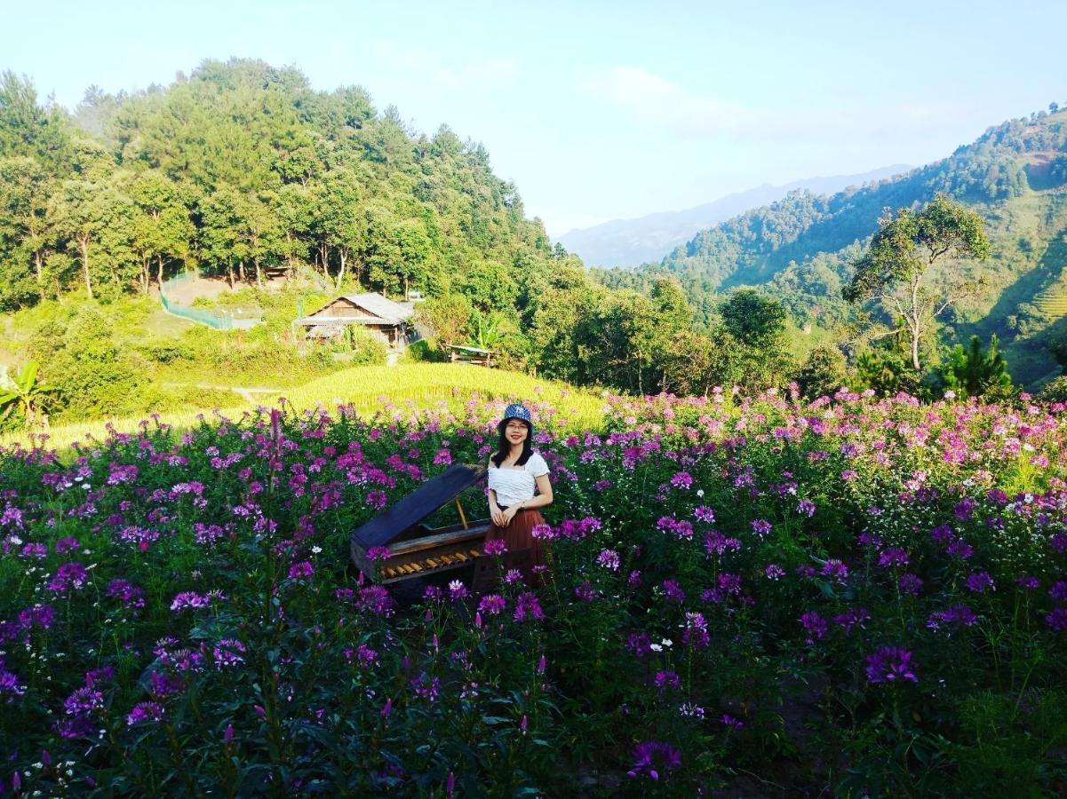 Mu Cang Chai Big View Homestay, Tour & Vegetarian Zewnętrze zdjęcie