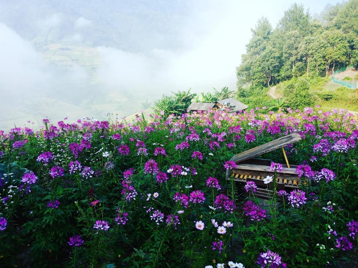 Mu Cang Chai Big View Homestay, Tour & Vegetarian Zewnętrze zdjęcie