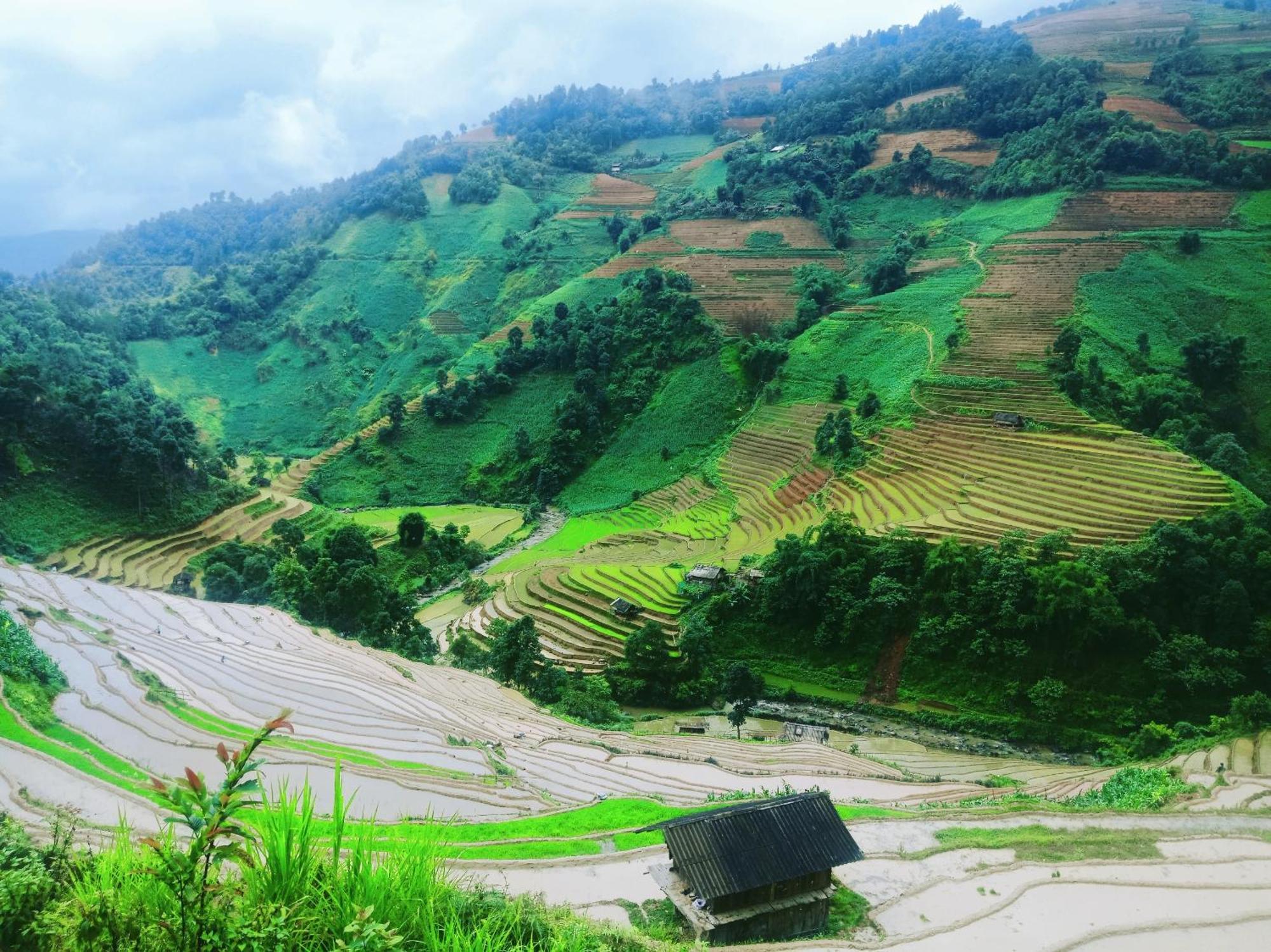 Mu Cang Chai Big View Homestay, Tour & Vegetarian Zewnętrze zdjęcie